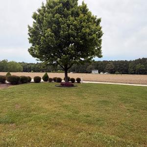 Photo #55 of 34085 DRUMMOND RD, CRADDOCKVILLE, VA 1.3 acres