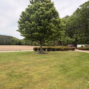 Photo #56 of 34085 DRUMMOND RD, CRADDOCKVILLE, VA 1.3 acres