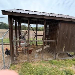 Photo #59 of 34085 DRUMMOND RD, CRADDOCKVILLE, VA 1.3 acres