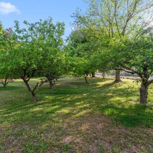Photo #54 of 6078 HARMANTOWN RD, MACHIPONGO, VA 48.0 acres