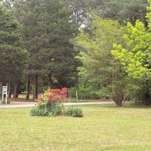 Photo #14 of 24460 FINNEY DR, ONANCOCK, VA 4.3 acres