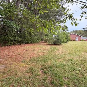 Photo #15 of 24460 FINNEY DR, ONANCOCK, VA 4.3 acres