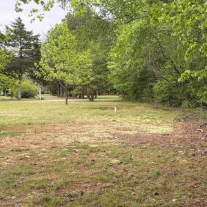 Photo #20 of 24460 FINNEY DR, ONANCOCK, VA 4.3 acres