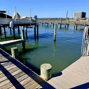 Photo #16 of 6362 WATERS EDGE DRIVE, CHINCOTEAGUE, VA 0.0 acres
