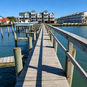 Photo #2 of 6362 WATERS EDGE DRIVE, CHINCOTEAGUE, VA 0.0 acres