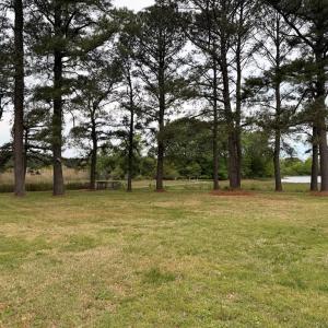 Photo #13 of 24448 FINNEY DR, ONANCOCK, VA 2.6 acres