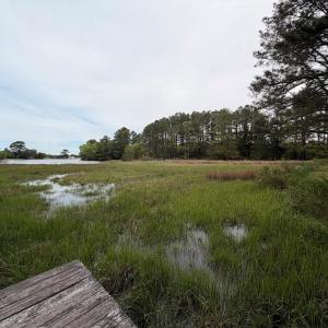 Photo #11 of 24448 FINNEY DR, ONANCOCK, VA 2.6 acres