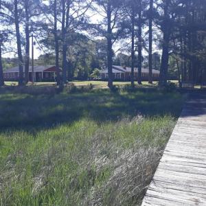 Photo #68 of 24448 FINNEY DR, ONANCOCK, VA 2.6 acres