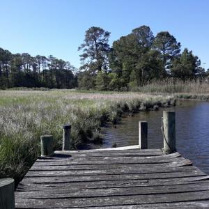 Photo #70 of 24448 FINNEY DR, ONANCOCK, VA 2.6 acres