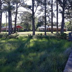 Photo #72 of 24448 FINNEY DR, ONANCOCK, VA 2.6 acres