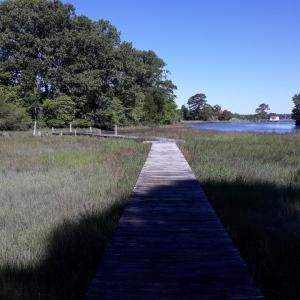 Photo #73 of 24448 FINNEY DR, ONANCOCK, VA 2.6 acres
