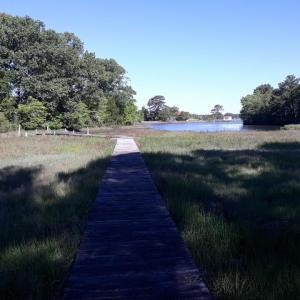Photo #74 of 24448 FINNEY DR, ONANCOCK, VA 2.6 acres