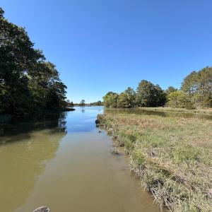 Photo #89 of 24448 FINNEY DR, ONANCOCK, VA 2.6 acres