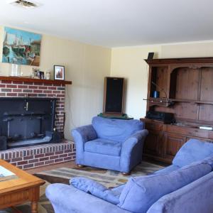 wood stove insert