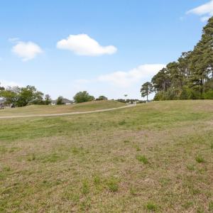 Photo #36 of 3104 CAPTAINS CORRIDOR, GREENBACKVILLE, VA 0.2 acres