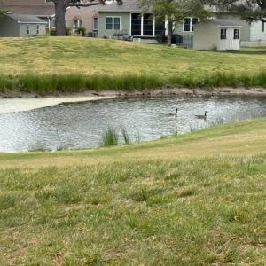 Photo #39 of 3098 NAVIGATOR DR, GREENBACKVILLE, VA 10,500.0 acres