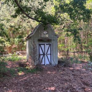 Shed