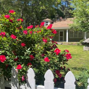 Photo #31 of 4333 JAMES WHARF RD, EXMORE, VA 1.0 acres