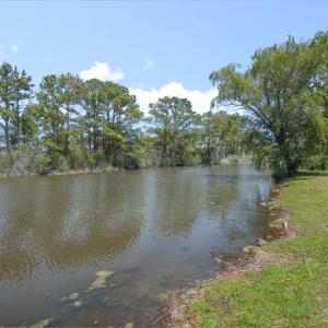 Photo #54 of 5245 MAIN ST, CHINCOTEAGUE, VA 0.6 acres
