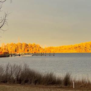 Photo #9 of 20186 FISHERMANS LN, ONANCOCK, VA 15,300.0 acres