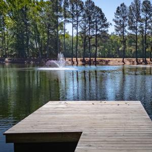 Photo #42 of 15589 COUNTY LINE RD, BELLE HAVEN, VA 7.2 acres