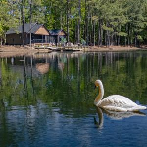 Photo #44 of 15589 COUNTY LINE RD, BELLE HAVEN, VA 7.2 acres