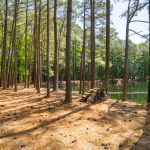 Photo #49 of 15589 COUNTY LINE RD, BELLE HAVEN, VA 7.2 acres