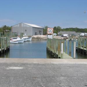 Photo #56 of 15589 COUNTY LINE RD, BELLE HAVEN, VA 7.2 acres
