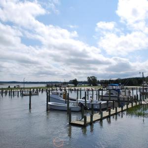 Photo #57 of 15589 COUNTY LINE RD, BELLE HAVEN, VA 7.2 acres
