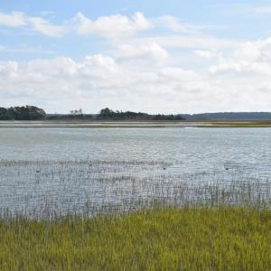 Photo #59 of 15589 COUNTY LINE RD, BELLE HAVEN, VA 7.2 acres