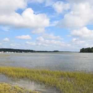 Photo #60 of 15589 COUNTY LINE RD, BELLE HAVEN, VA 7.2 acres