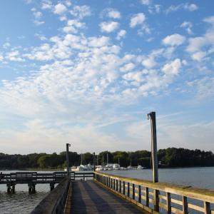 Photo #63 of 15589 COUNTY LINE RD, BELLE HAVEN, VA 7.2 acres