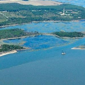 Photo #68 of 15589 COUNTY LINE RD, BELLE HAVEN, VA 7.2 acres