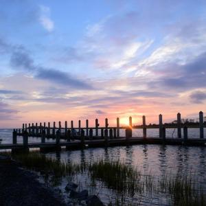 Photo #69 of 15589 COUNTY LINE RD, BELLE HAVEN, VA 7.2 acres