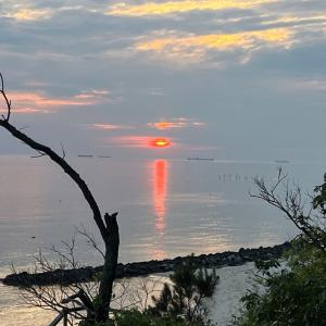 Photo #53 of 3284 BUTLER'S BLUFF DR, CAPE CHARLES, VA 1.7 acres