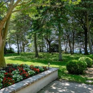 Path leading to the terrace