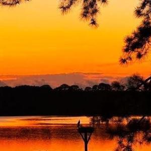 Sunset, A beautiful sunset. Note the resident osprey perched on his or her nest.