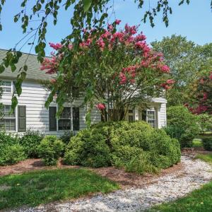 Photo #5 of 25367 MESSONGO RD, TEMPERANCEVILLE, VA 41.0 acres