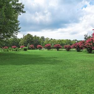 Photo #76 of 25367 MESSONGO RD, TEMPERANCEVILLE, VA 41.0 acres
