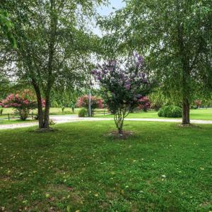 Photo #81 of 25367 MESSONGO RD, TEMPERANCEVILLE, VA 41.0 acres