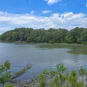 Photo #3 of 4454 WILSONIA SHORES DR, MACHIPONGO, VA 1.5 acres