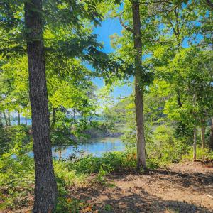 Photo #3 of 4454 WILSONIA SHORES DR, MACHIPONGO, VA 1.5 acres
