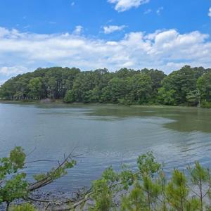 Photo #4 of 4454 WILSONIA SHORES DR, MACHIPONGO, VA 1.5 acres