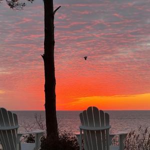 Photo #31 of 10888 CHURCH NECK RD, MACHIPONGO, VA 1.5 acres
