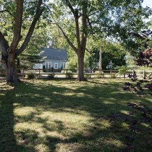 Photo #61 of 1 JEFFERSON ST, ONANCOCK, VA 0.5 acres