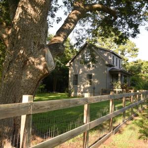 View of House with Pecan Tree