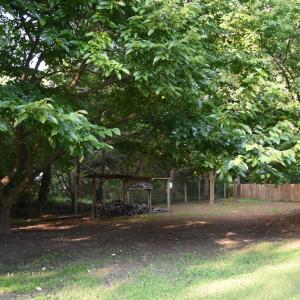Back of Shed