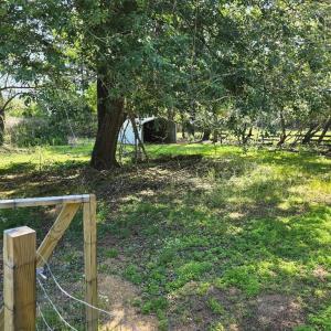 Photo #18 of 17511 PLANTATION RD, ONANCOCK, VA 1.5 acres