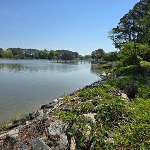 Photo #2 of 17511 PLANTATION RD, ONANCOCK, VA 1.5 acres
