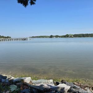 Photo #5 of 17511 PLANTATION RD, ONANCOCK, VA 1.5 acres